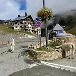 Lejlighed Petit Cocon Au Coeur De La Mongie (adults Only) *