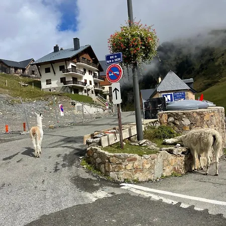 Apartamento Petit Cocon Au Coeur De La Mongie (adults Only) *