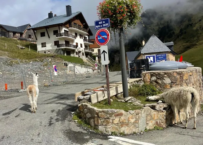 アパート Petit Cocon Au Coeur De La Mongie (adults Only) *